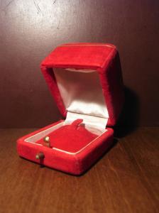 red velvet jewelry display case