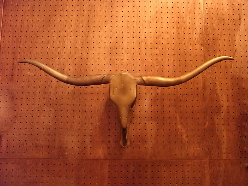 brass bull skull horn wall ornament
