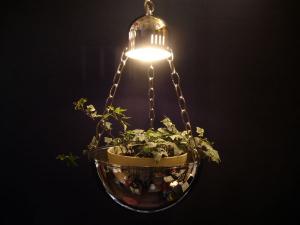 planter lamp S 1灯