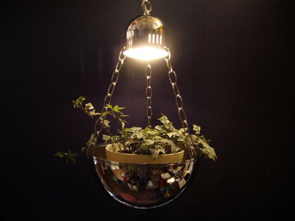 planter lamp S 1灯