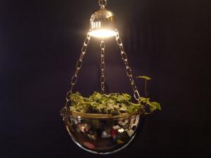 planter lamp L 1灯