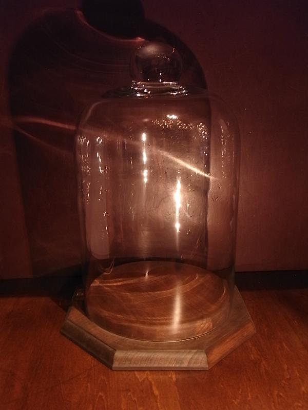 glass display dome & wood base