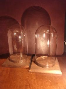 glass display dome & wood base（2点あり！）