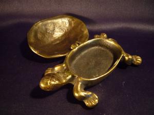 brass turtle case