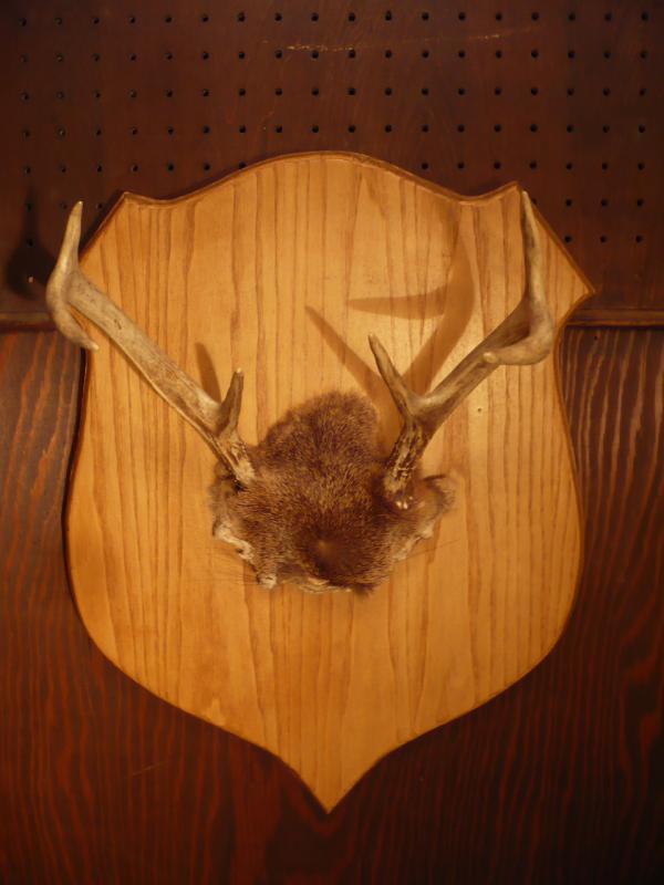 wood emblem antler wall ornament