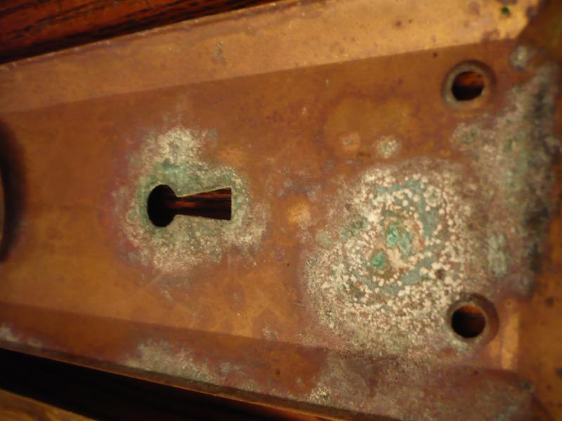 真鍮製ドアバックプレート　LCM 2539（5）