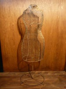 French display torso 