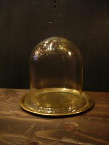 glass display dome & brass base