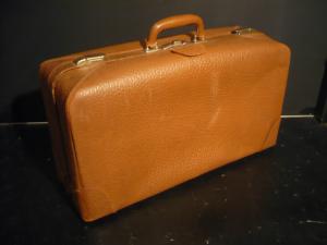 leather trunk case