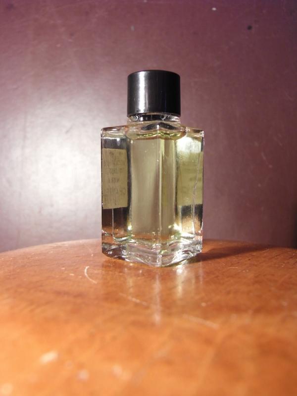 CHANEL N°19 香水瓶、ミニチュア香水ボトル、ミニガラスボトル、サンプルガラス瓶　LCC 0838（2）