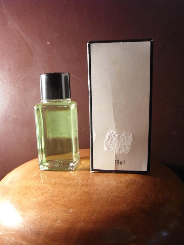 CHANEL N°19 香水瓶、ミニチュア香水ボトル、ミニガラスボトル、サンプルガラス瓶 LCC 0683(5)