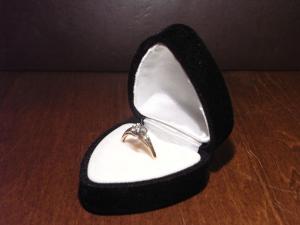 black heart velvet ring case
