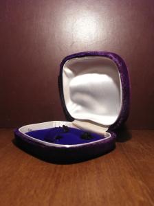 purple velvet jewelry case