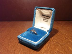 light blue velvet ring display case