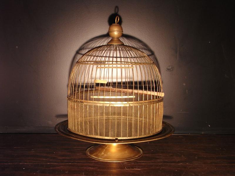 WRICO brass bird cage