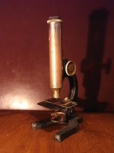 display microscope