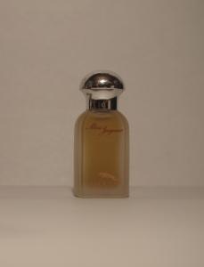 French glass perfume bottle
