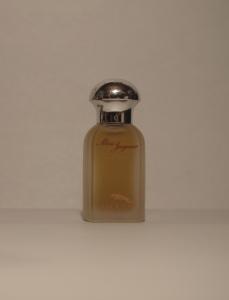 French glass perfume bottle