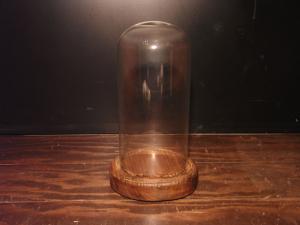 wood base & glass display dome