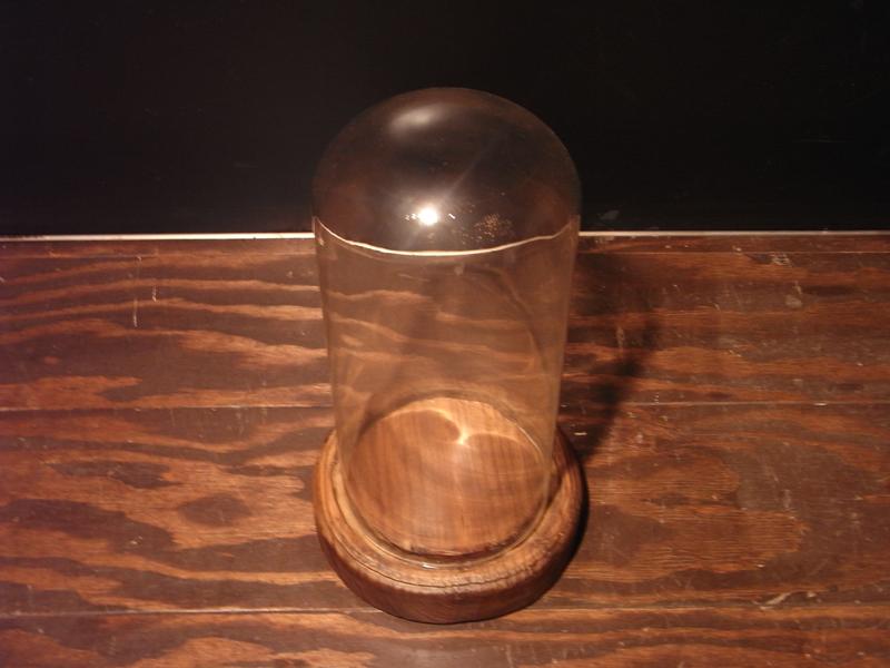木製ベースガラスドーム　ガラスディスプレイショーケース　テラリウム　LCM 5136（2）