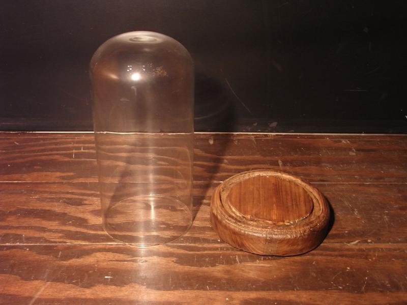 木製ベースガラスドーム　ガラスディスプレイショーケース　テラリウム　LCM 5136（3）
