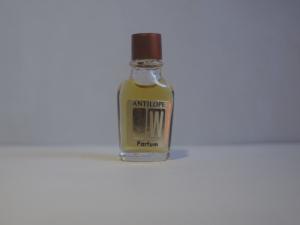 French glass perfume bottle