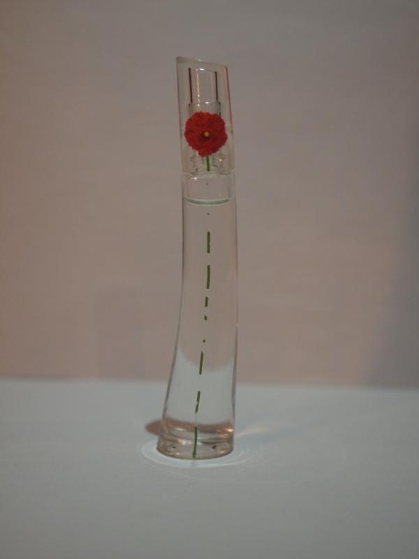 French glass perfume bottle