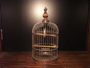 English wood & brass bird cage