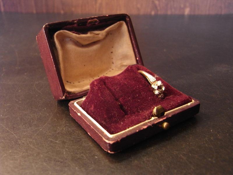 leather & velvet PAIR jewelry display case