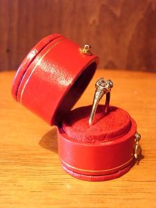 Italian red leather velvet ring case