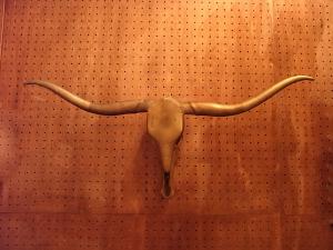 brass bull skull horn wall ornament