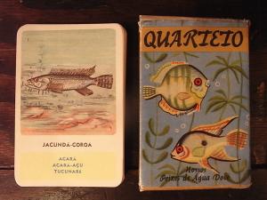 QUARTETO fish cards & case