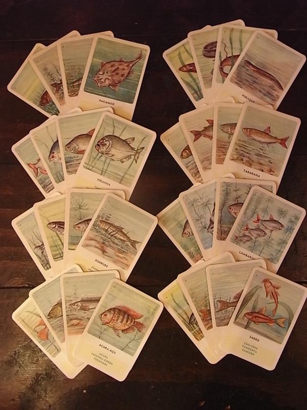 ポルトガル語魚カード、フィッシュ教材カード、お魚カード、ビンテージ絵柄カードセット　BCM 0096（2）