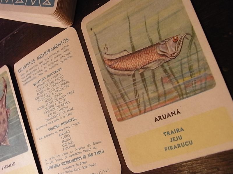 ポルトガル語魚カード、フィッシュ教材カード、お魚カード、ビンテージ絵柄カードセット　BCM 0096（5）