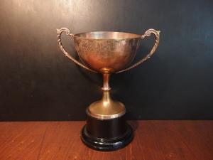 Ladies Darts Cup trophy
