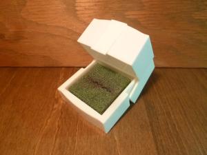 white ring display case
