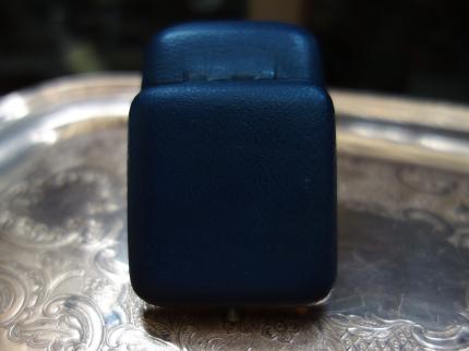 フランス製ブラックジュエリーホルダー、黒いベルベット宝石箱、ベッチンジュエリーディスプレイ、ジュエリーケース LCM 6791(C2)