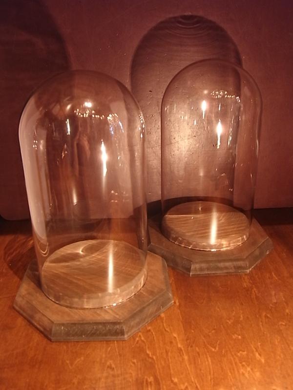 glass display dome & wood base（2点あり！）