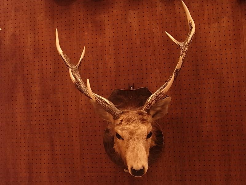 deer wall ornament