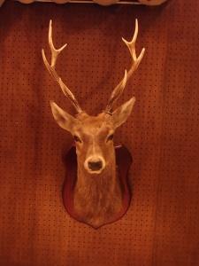 deer wall ornament