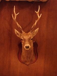 deer wall ornament