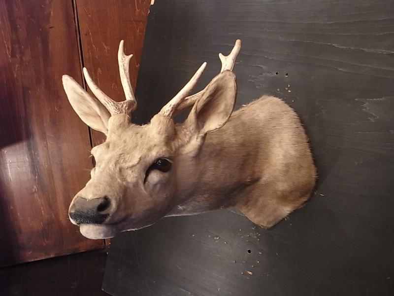 deer wall ornament