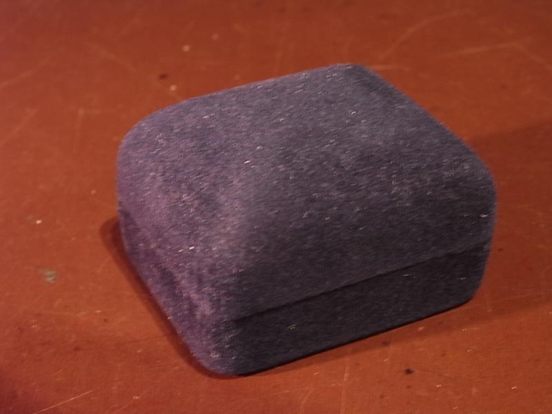 イギリス製黒系ジュエリーケース、宝石ケース、ブラック宝石箱、ジュエリーディスプレイ、かわいいジュエリーケース　LCM 6923（2）