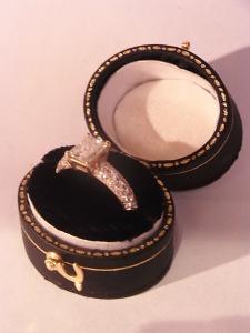 English black ring display case