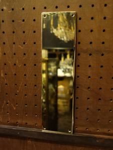 brass door finger plate