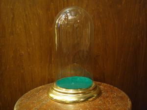 glass display dome