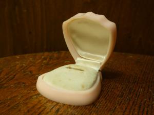 shell ring display case
