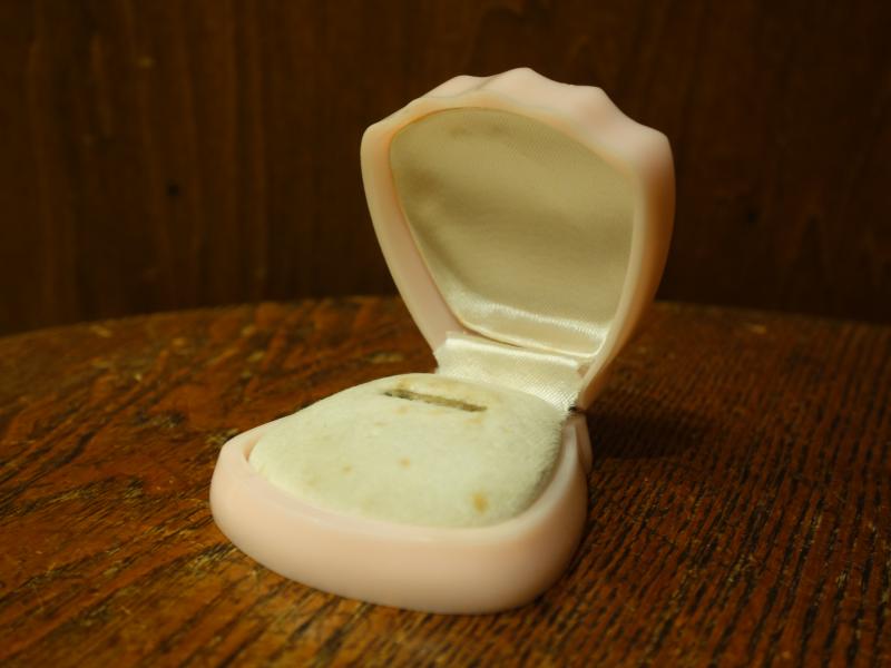 shell ring display case