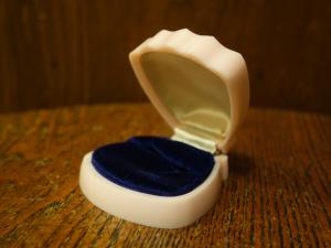 shell ring display case