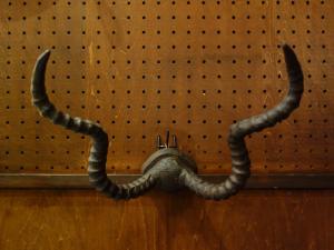 horn wall ornament